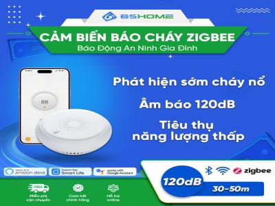 Cảm Biến Báo Khói Cảnh Bảo Hỏa Hoạn Zigbee Tuya Smart ZSM1